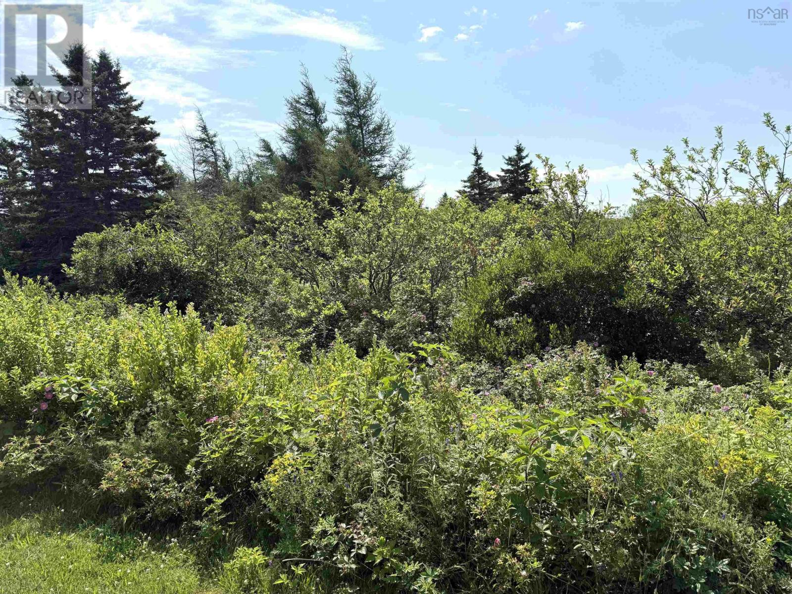 Lot 33 Elderberry Drive Property Photo 3