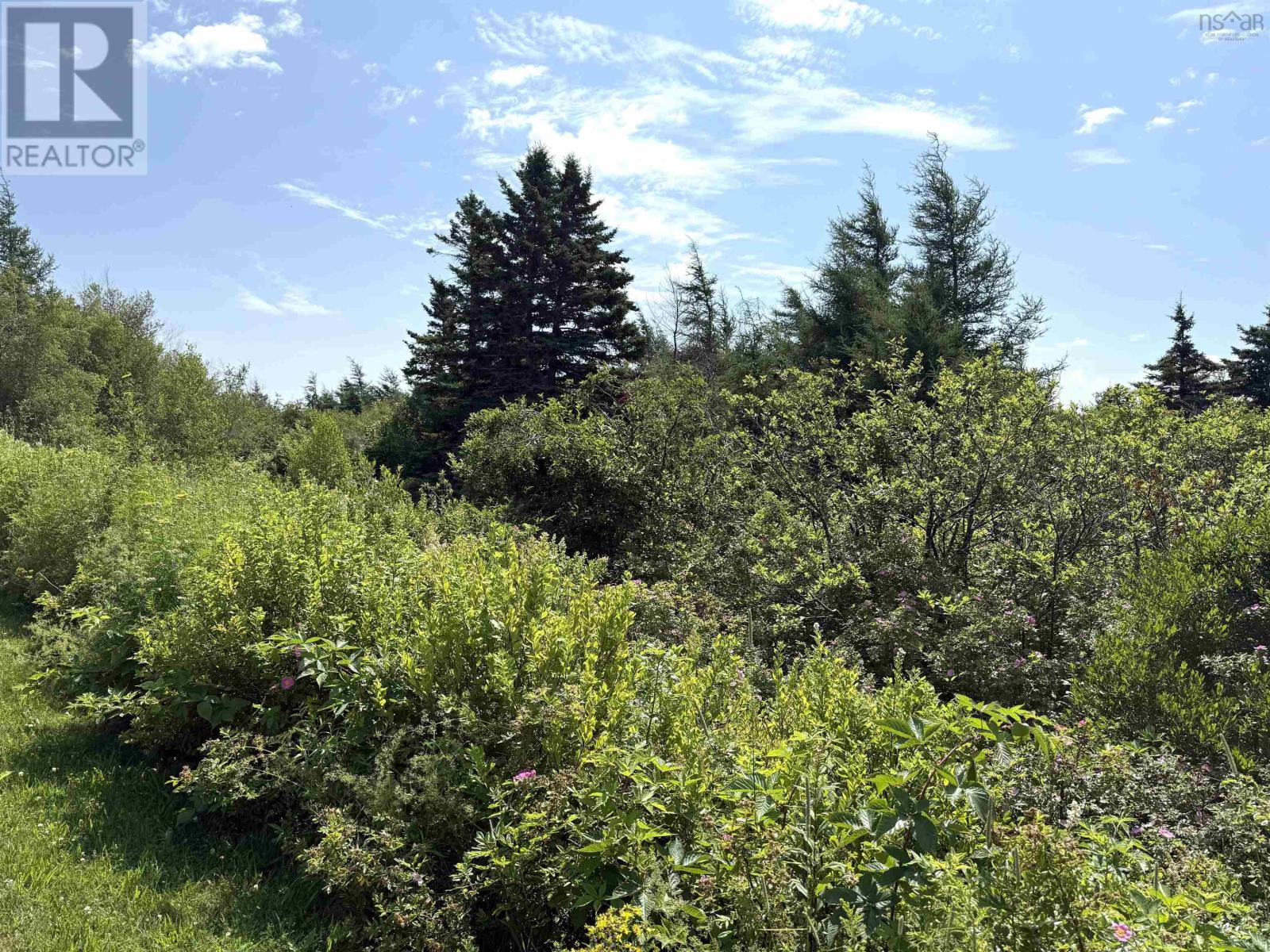 Lot 33 Elderberry Drive Property Photo 4