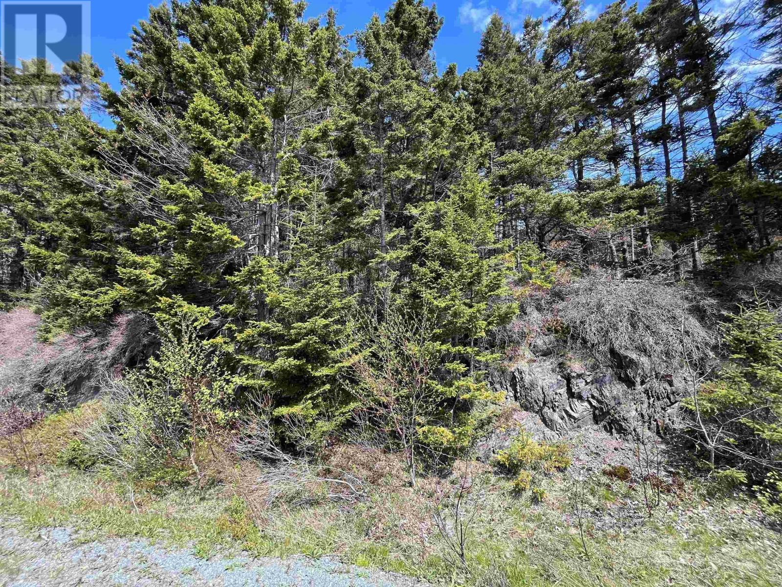 Lot (pid 60466794) Highway 332 Property Photo 4