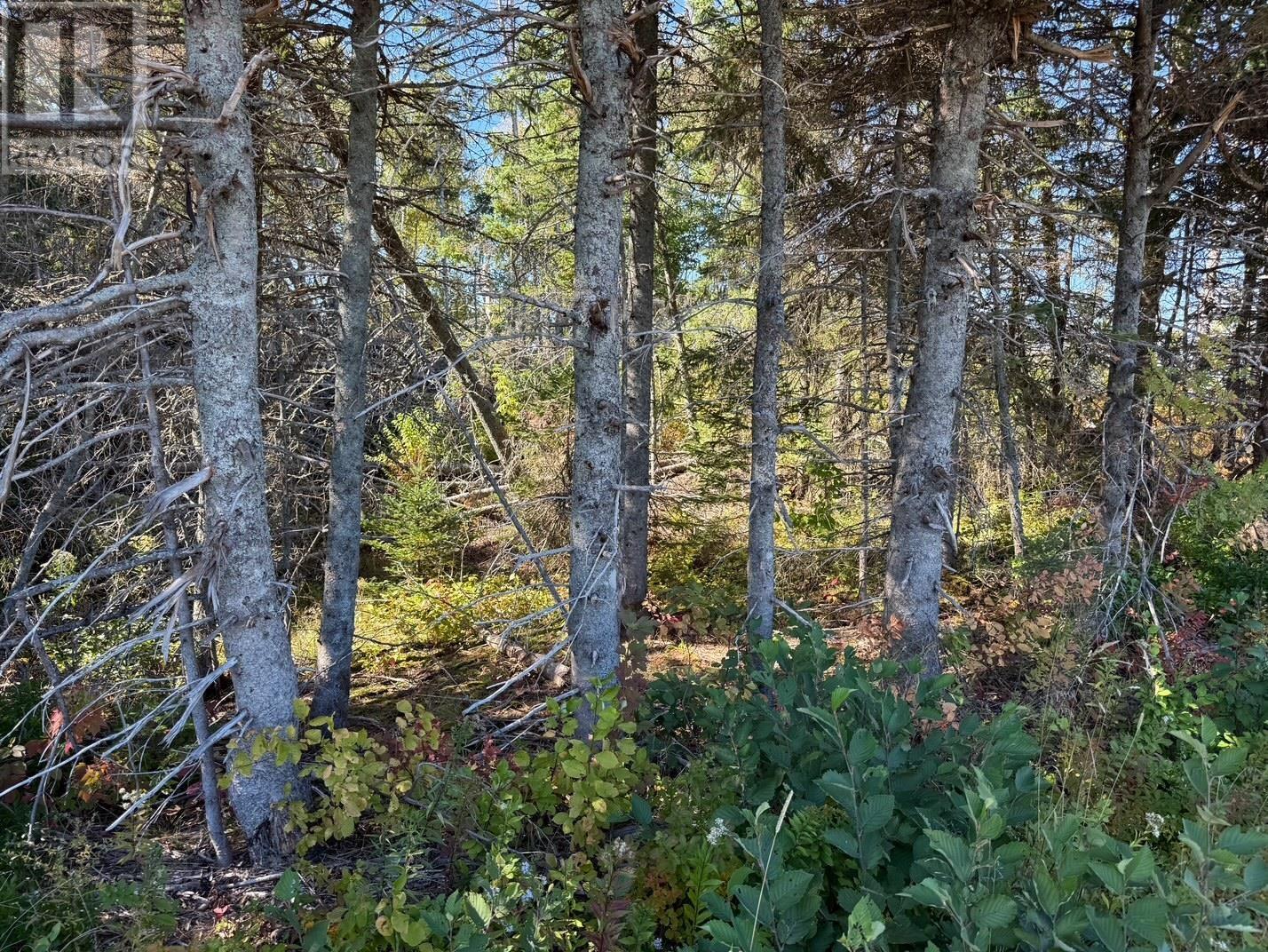 0 Rte 310 Property Photo 5