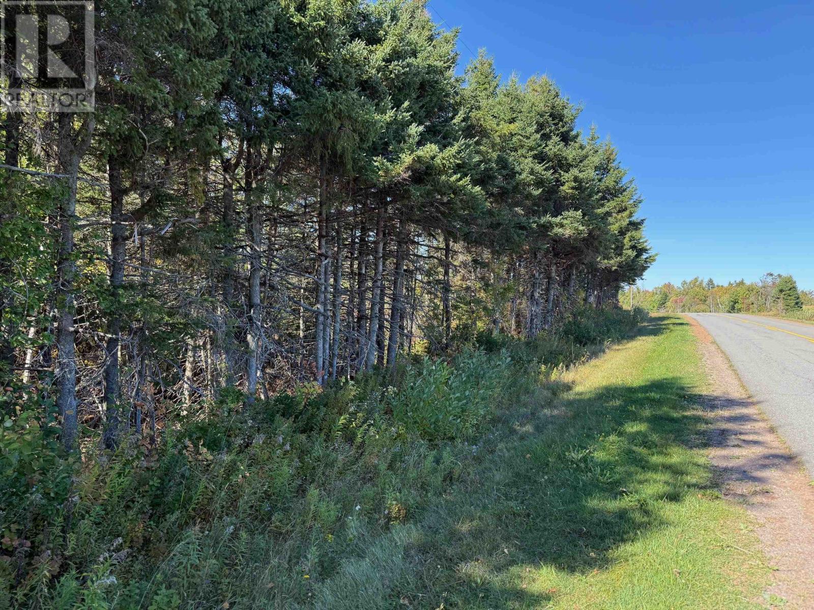 0 Rte 310 Property Photo 7