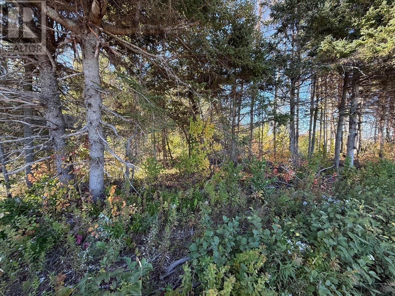 0 Rte 310 Property Photo 8