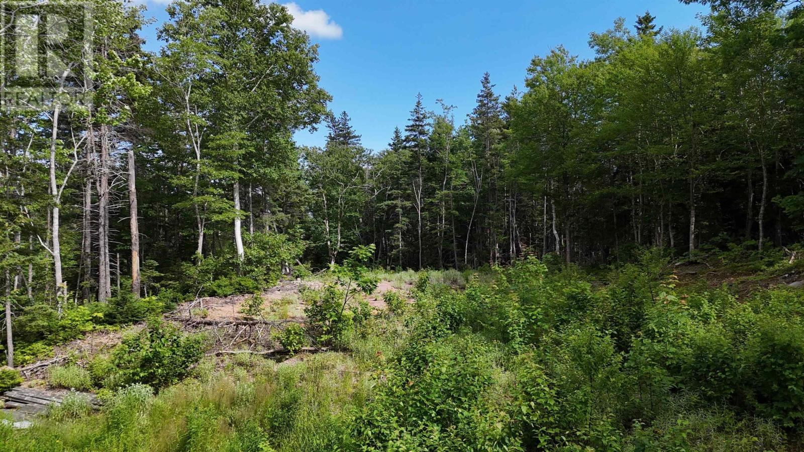 Lot 5 Cabot Trail Property Photo 3
