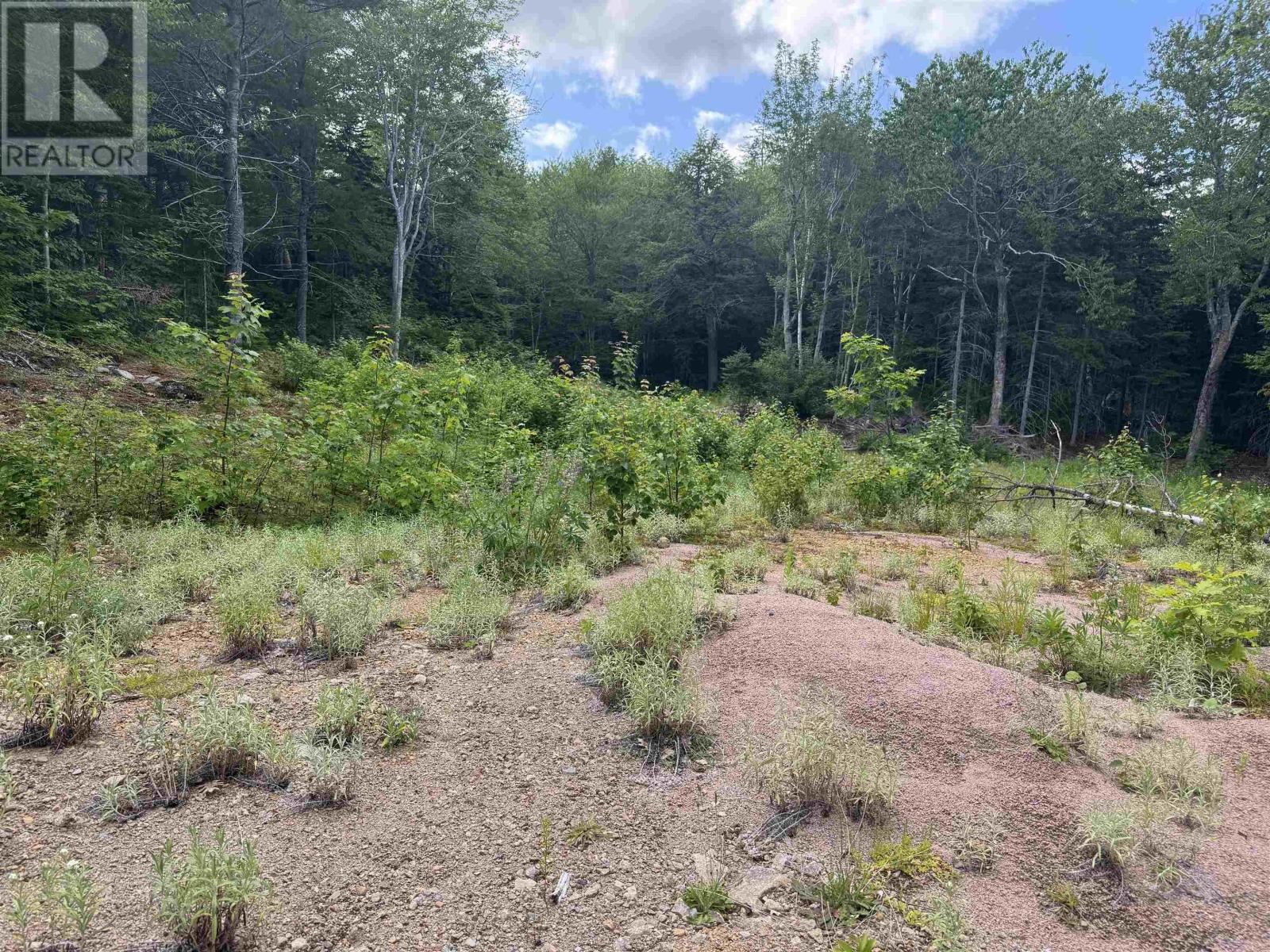 Lot 5 Cabot Trail Property Photo 7