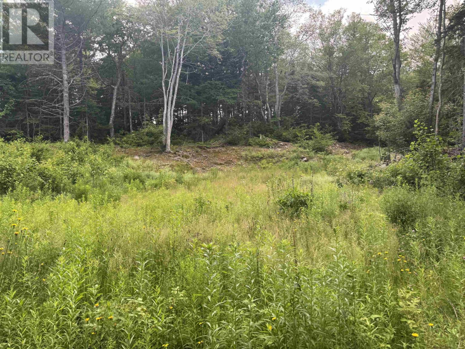 Lot 5 Cabot Trail Property Photo 14