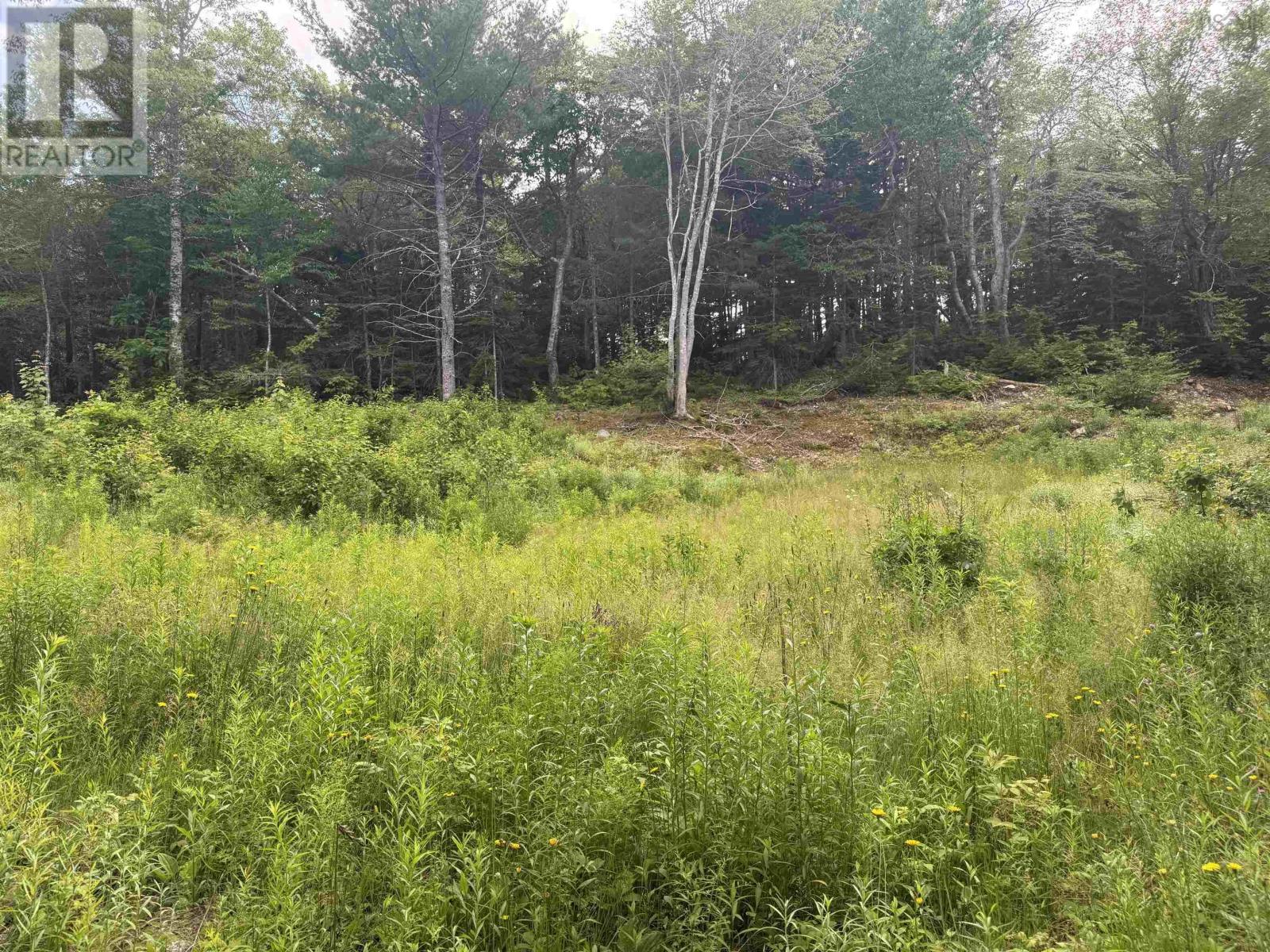 Lot 5 Cabot Trail Property Photo 16