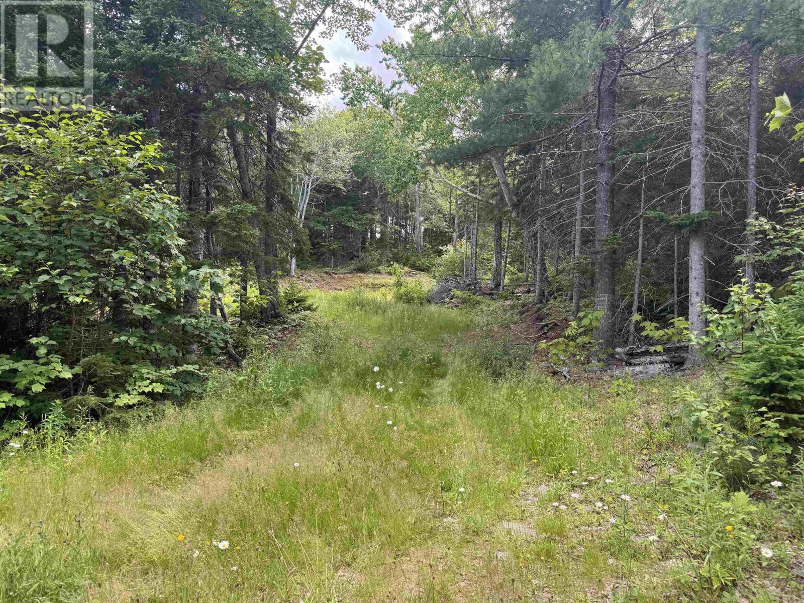 Lot 5 Cabot Trail Property Photo 17