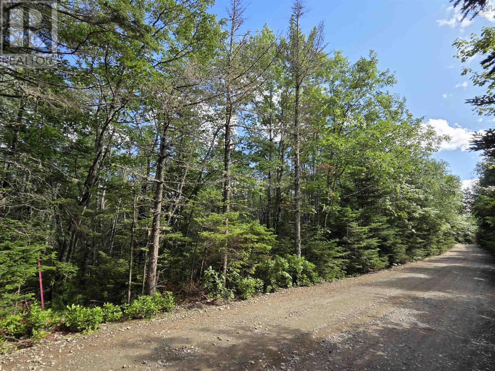 Lot 15 Lake Drive Property Photo 3