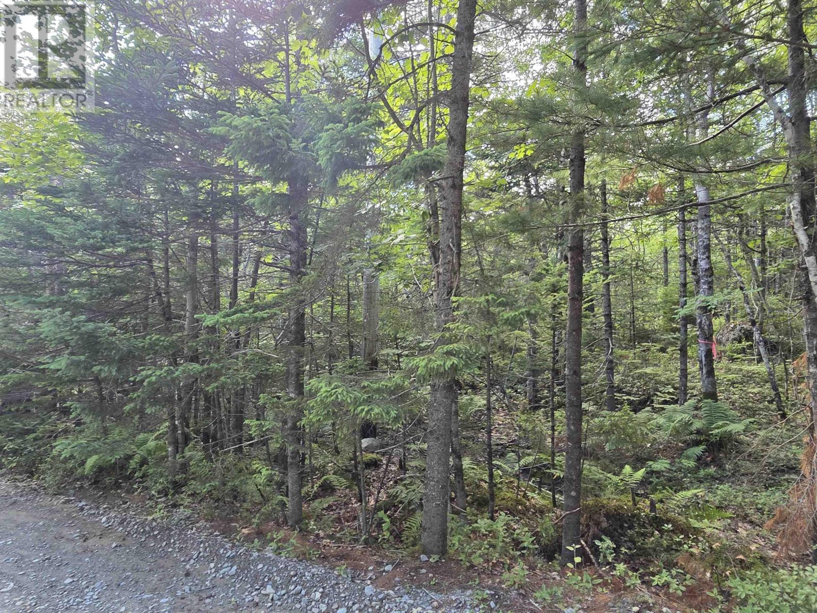 Lot 15 Lake Drive Property Photo 4