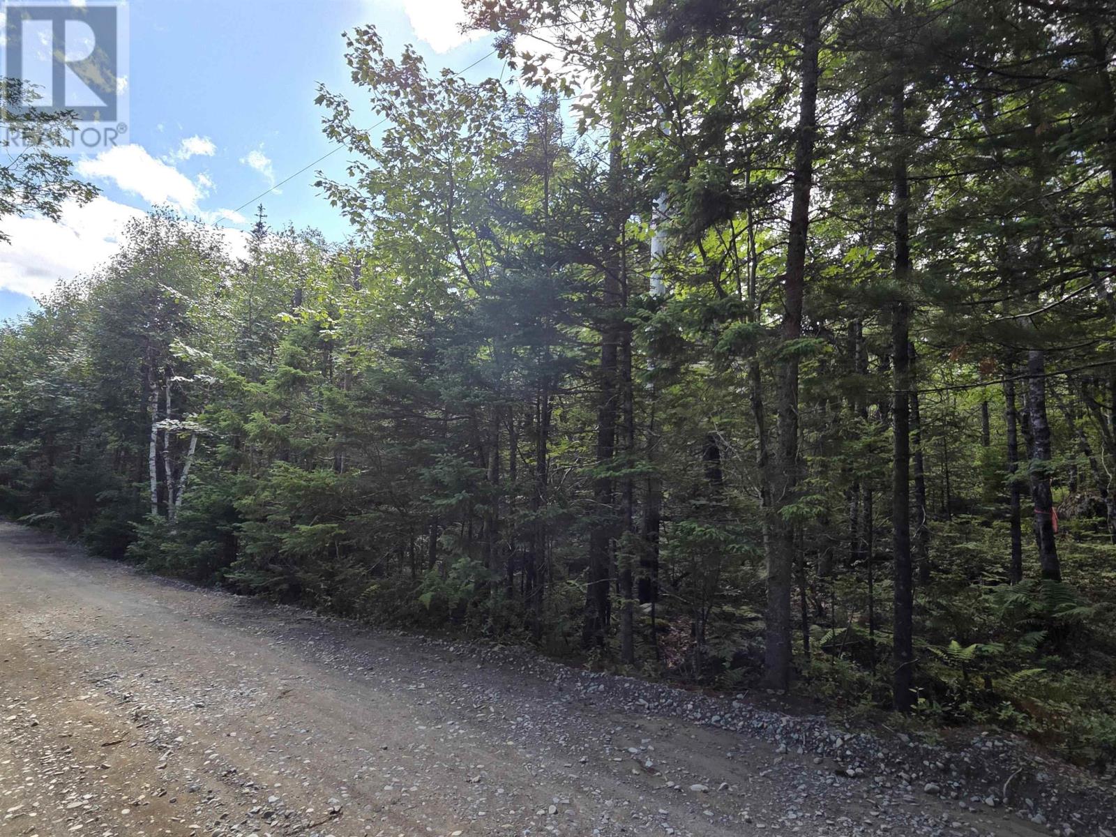 Lot 15 Lake Drive Property Photo 5