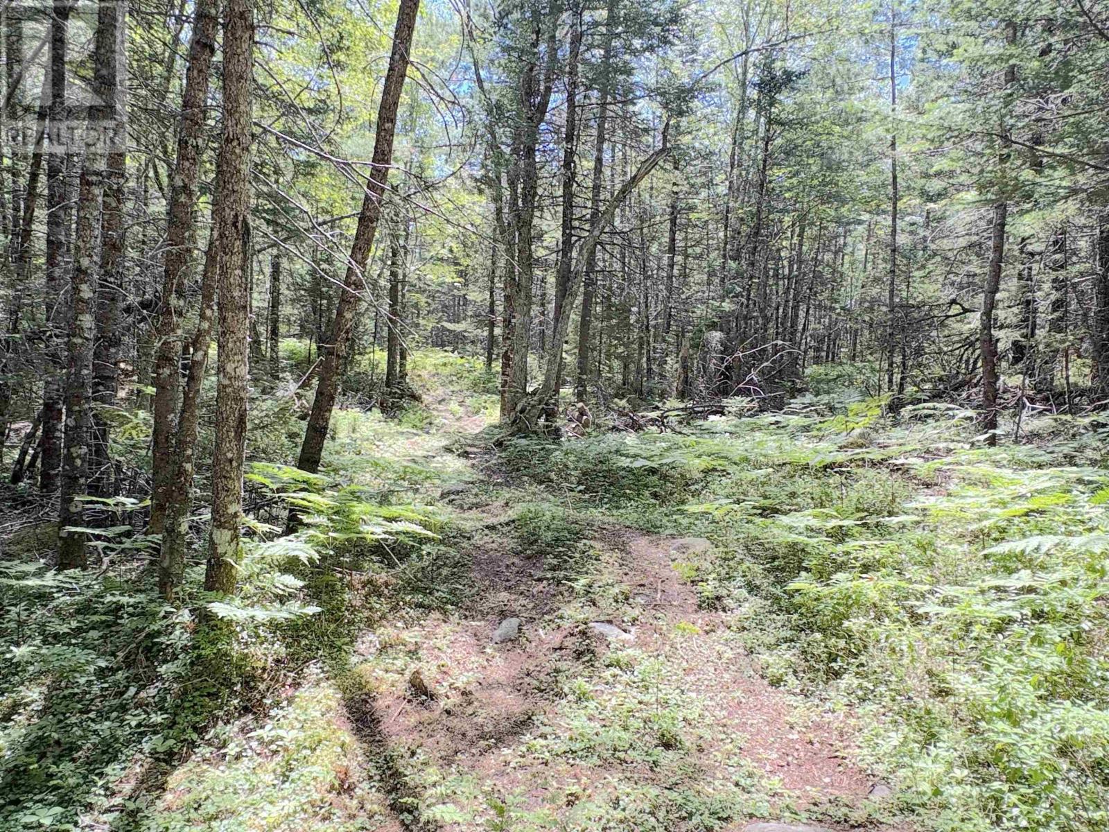 1894 Highway 103 Property Photo 19