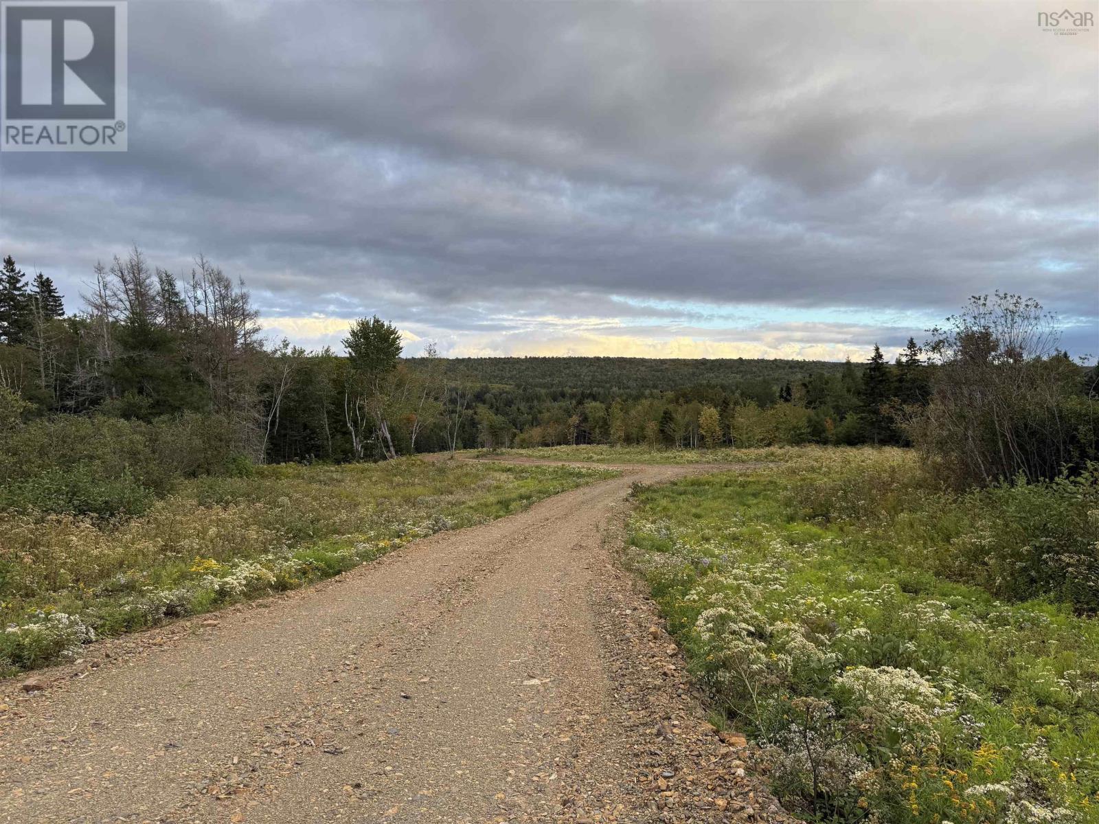 Mull River Road Property Photo 3