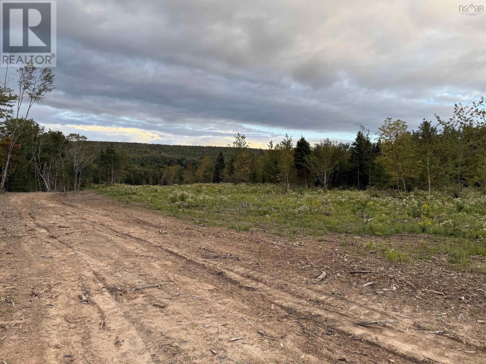 Mull River Road Property Photo 5