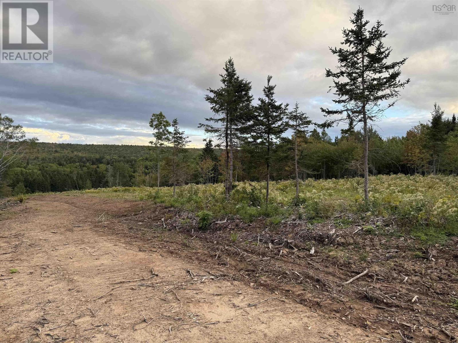 Mull River Road Property Photo 7