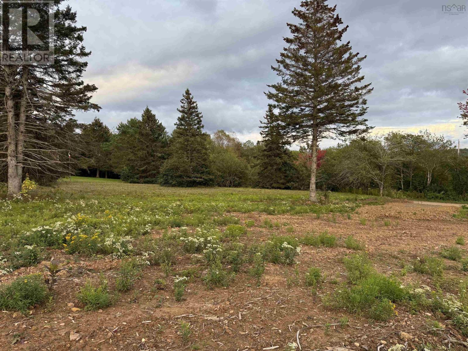 Lot 25 Mull River Road Property Photo 1