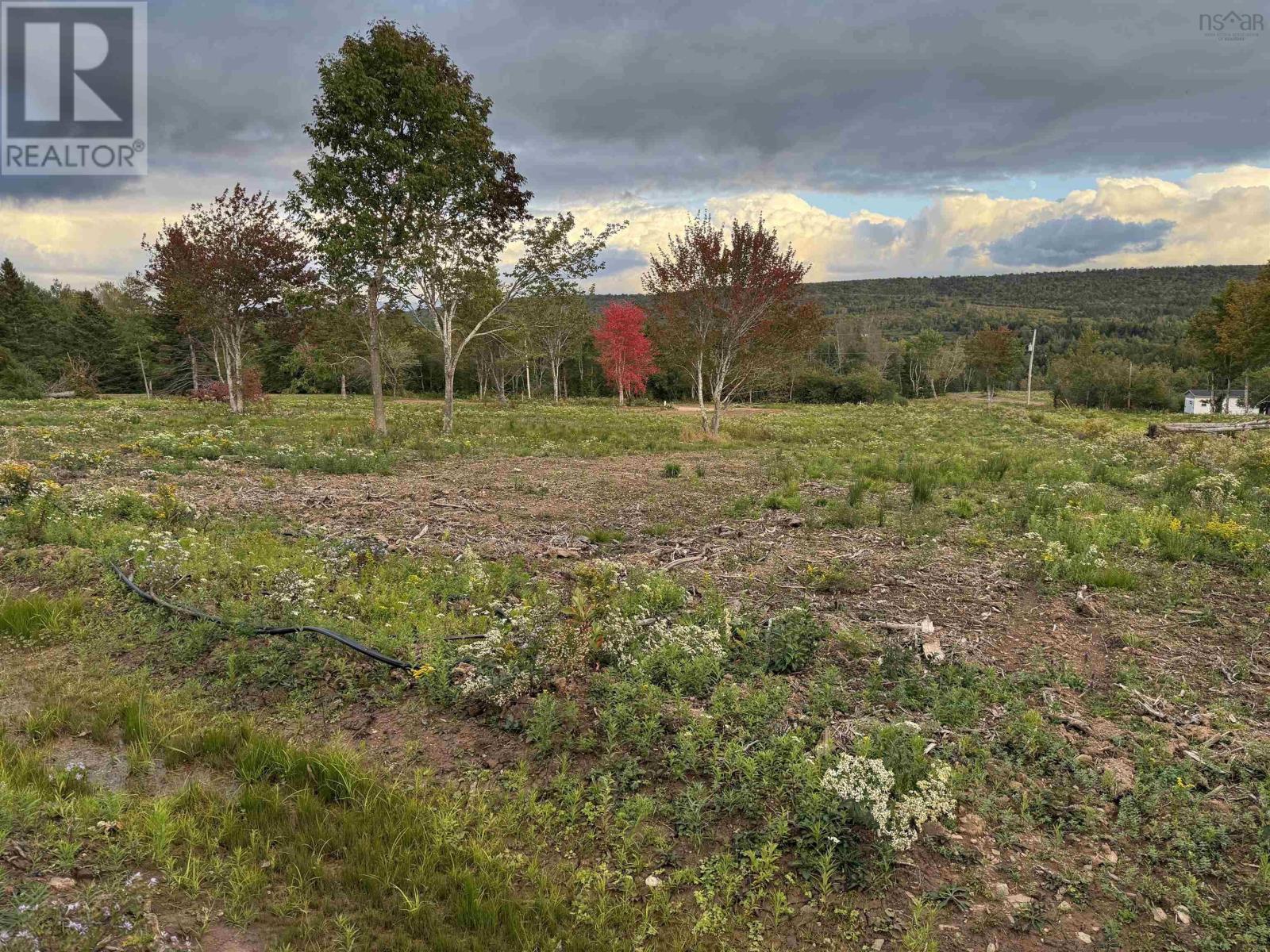 Lot 26 Mull River Road Property Photo 4
