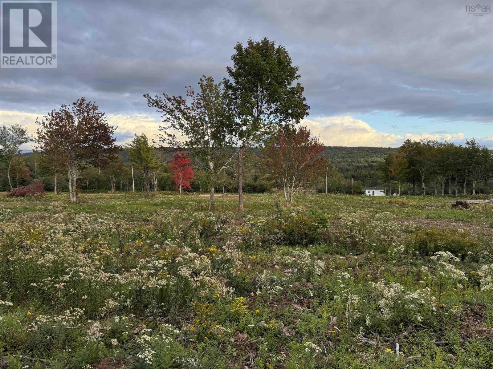 Lot 26 Mull River Road Property Photo 5