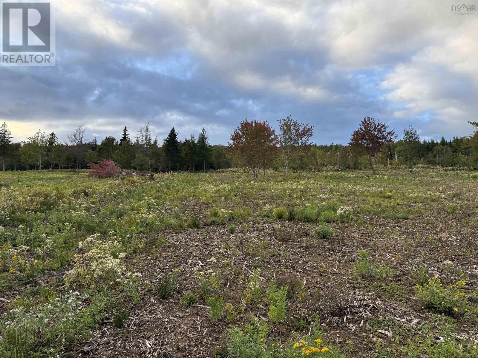 Lot 26 Mull River Road Property Photo 6