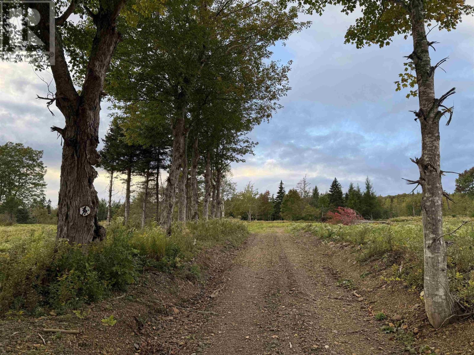 Lot 27 Mull River Road Property Photo 1