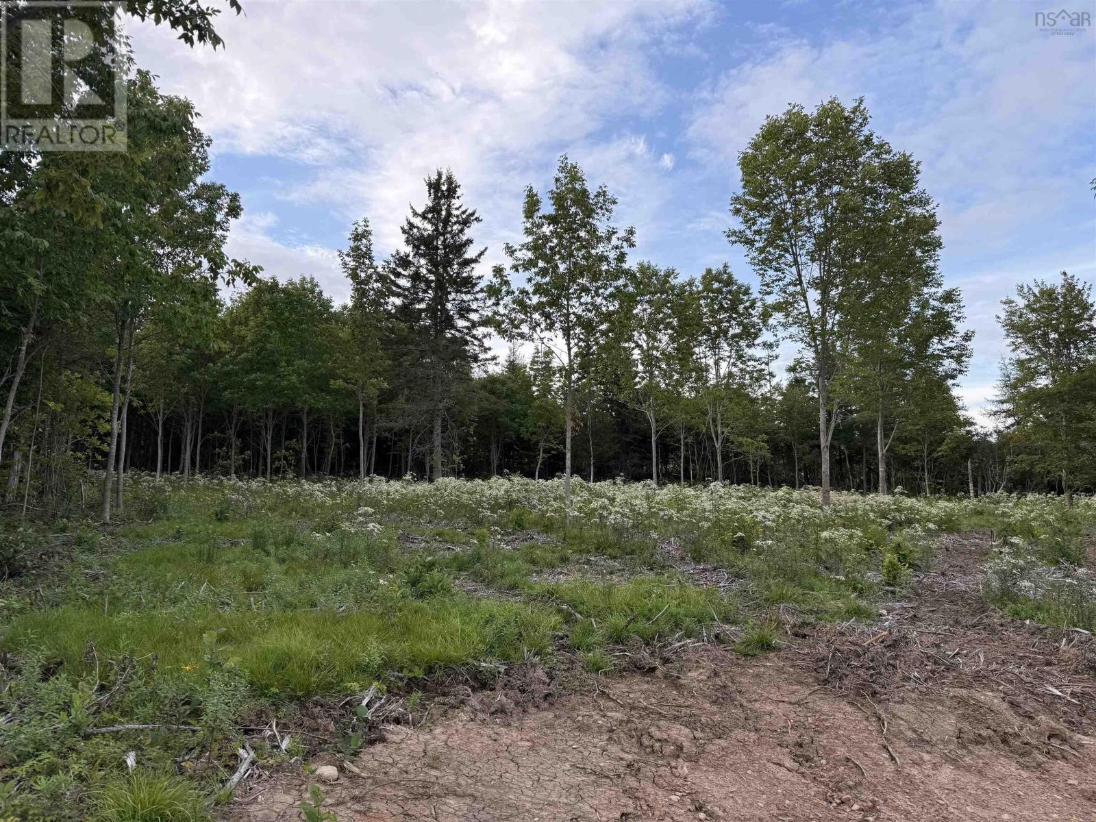 Lot 28 Mull River Road Property Photo 2