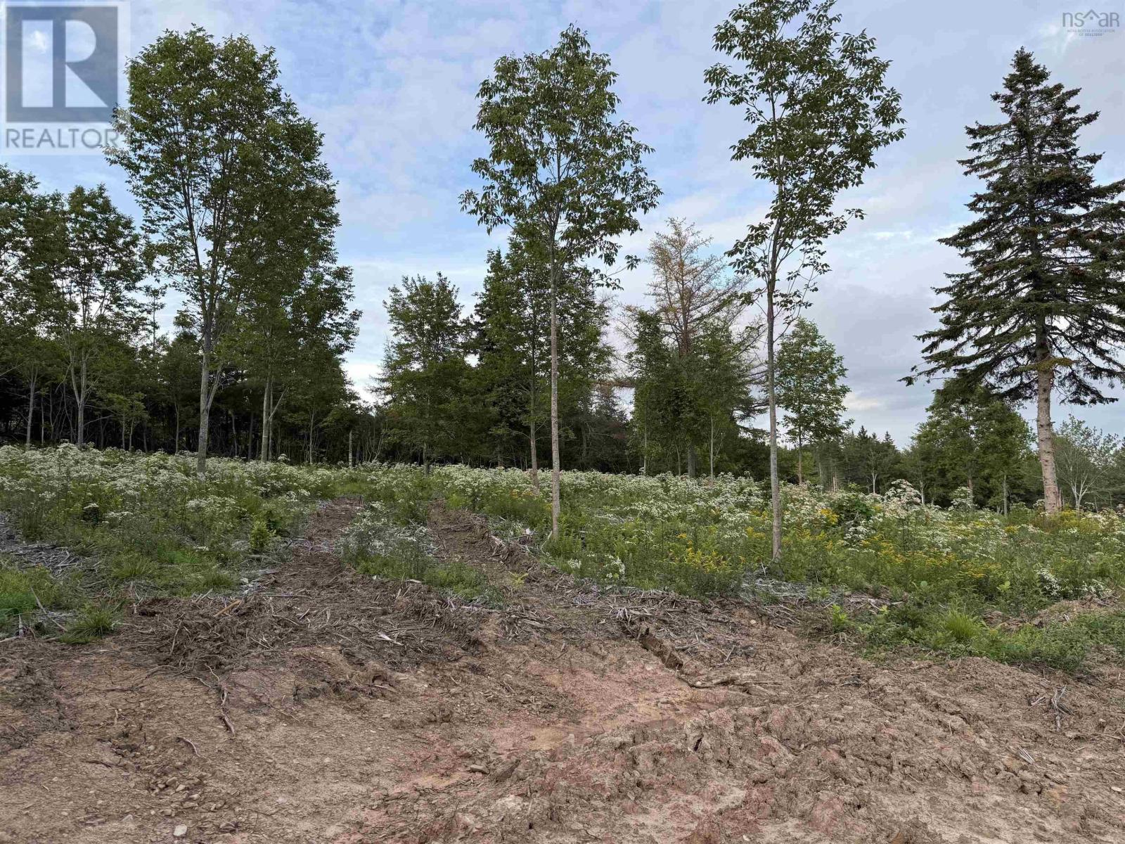 Lot 28 Mull River Road Property Photo 8