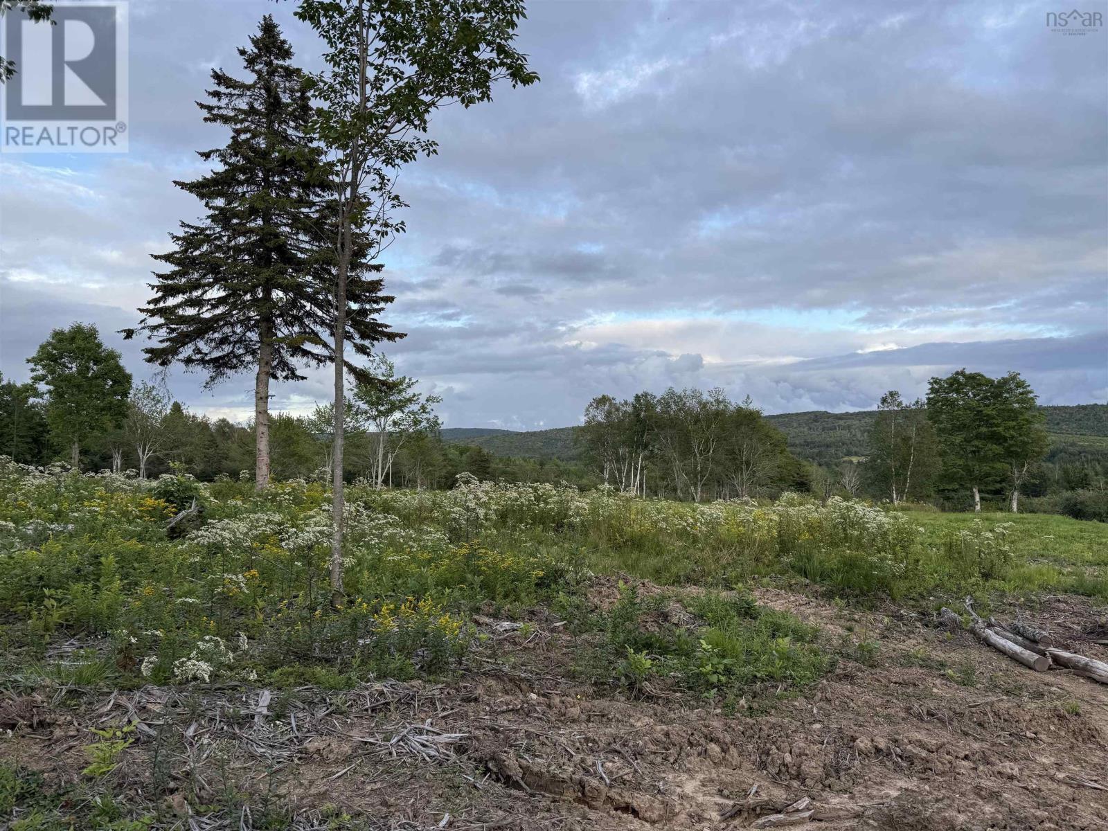 Lot 28 Mull River Road Property Photo 9