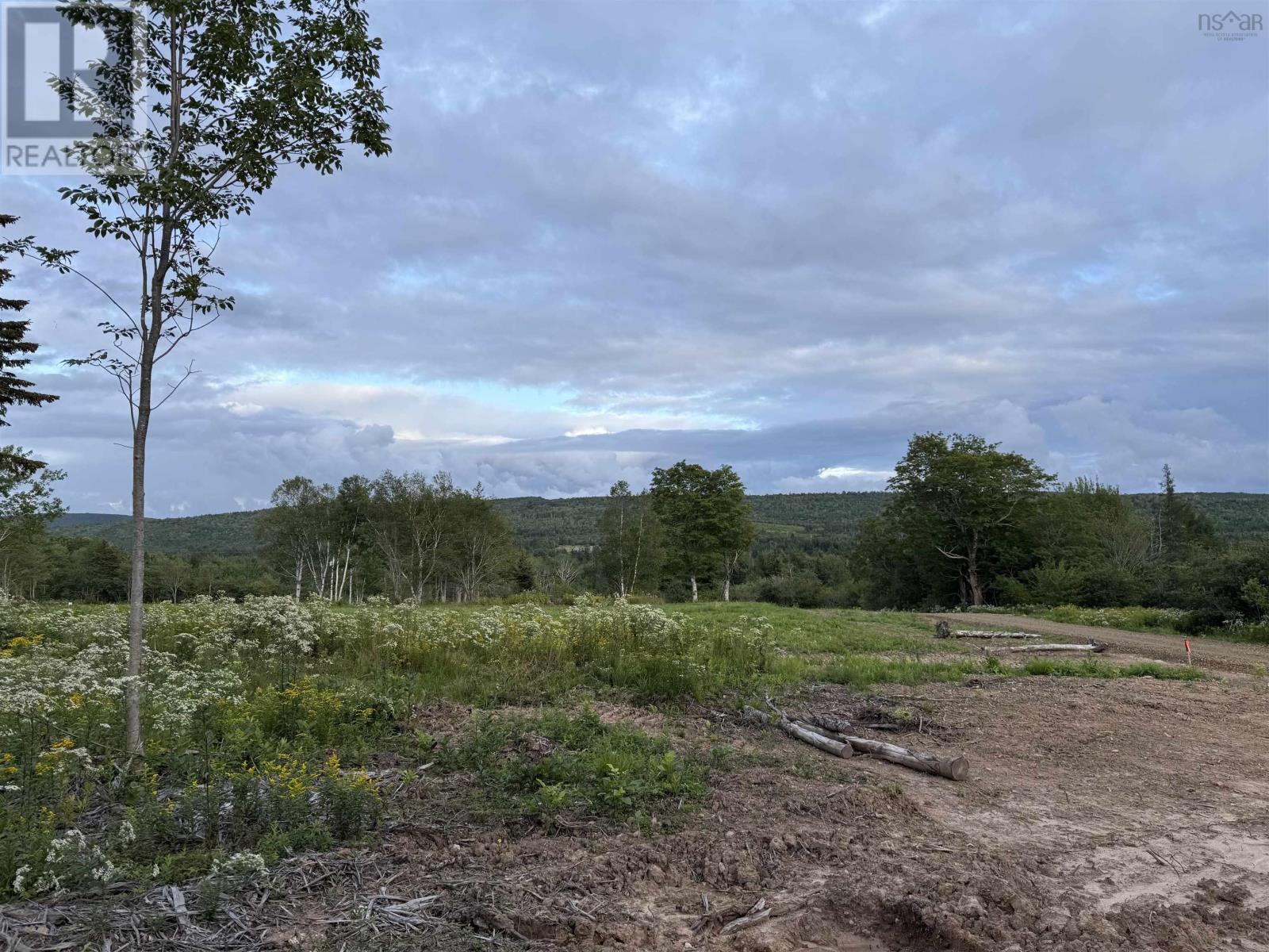 Lot 28 Mull River Road Property Photo 11