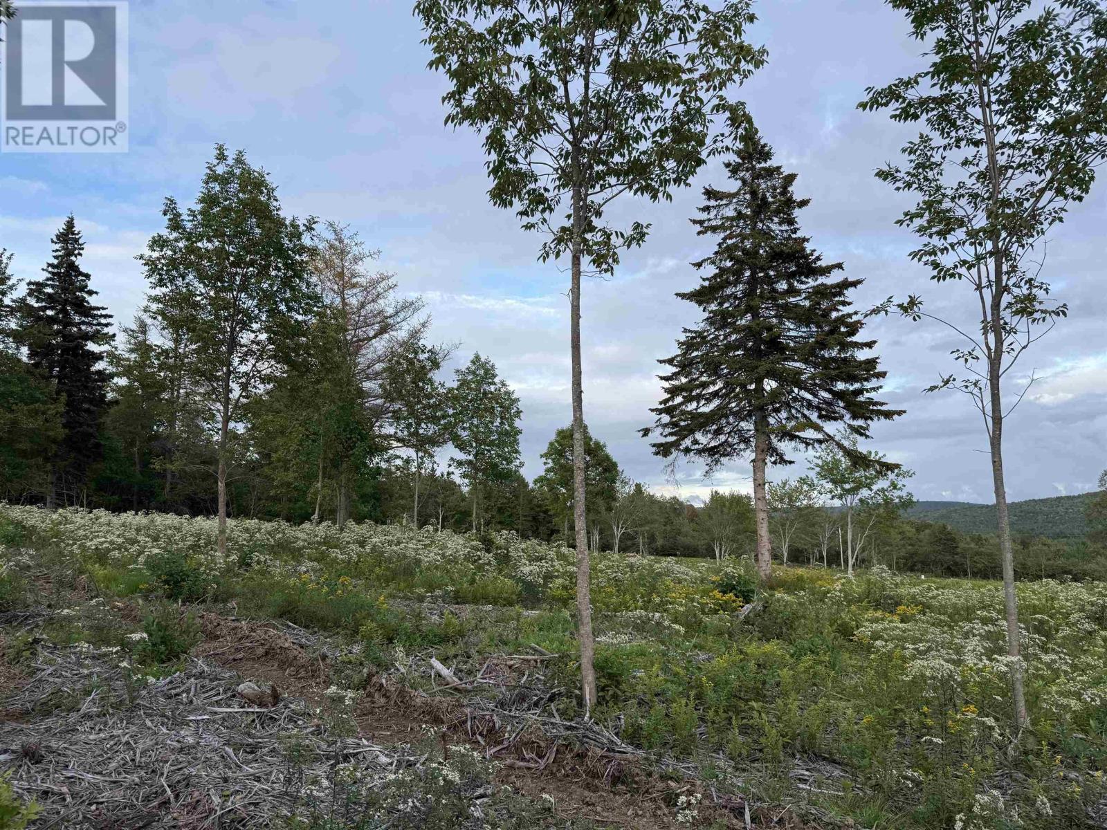 Lot 28 Mull River Road Property Photo 12