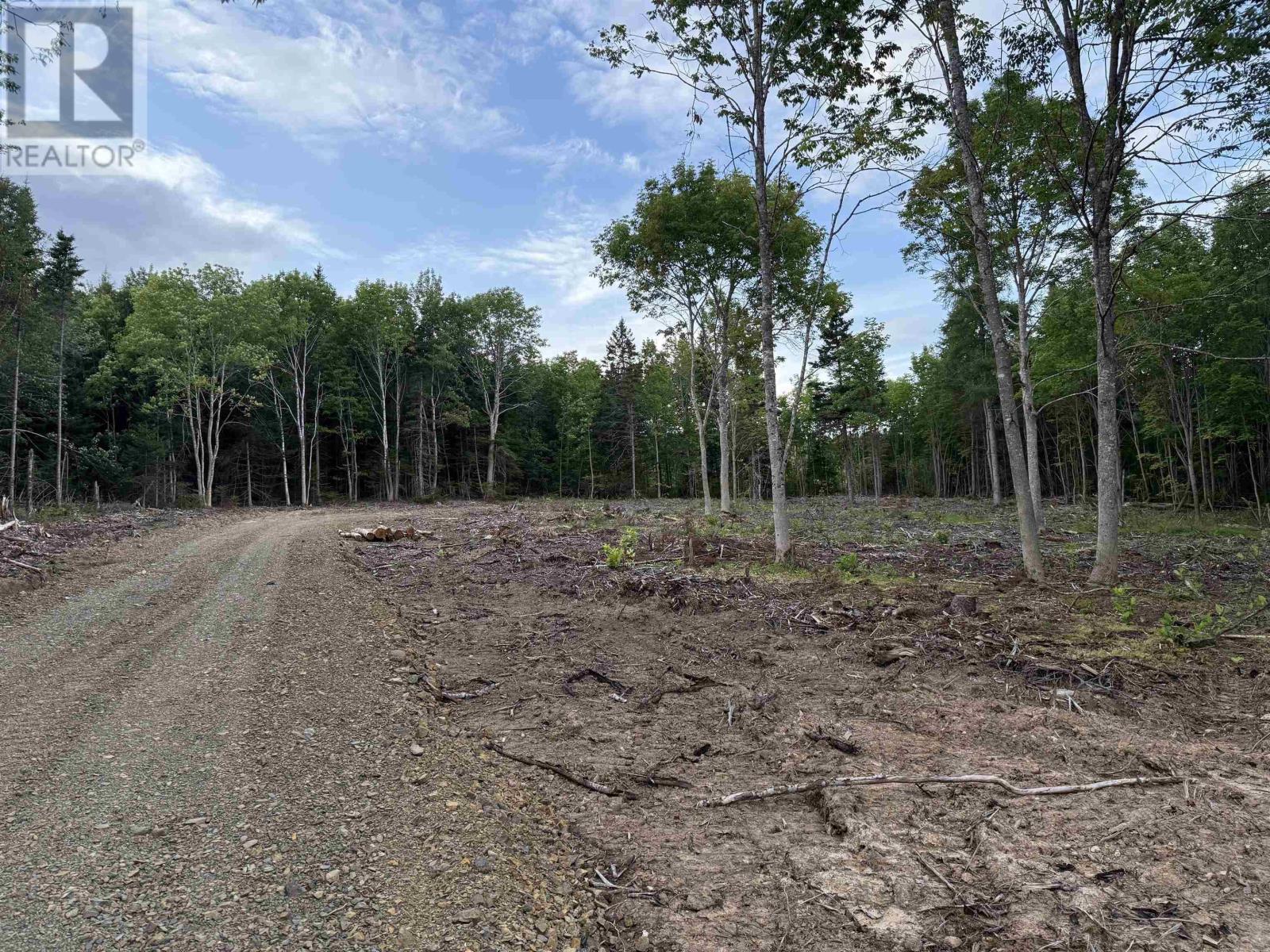 Lot 29 Mull River Road Property Photo 1