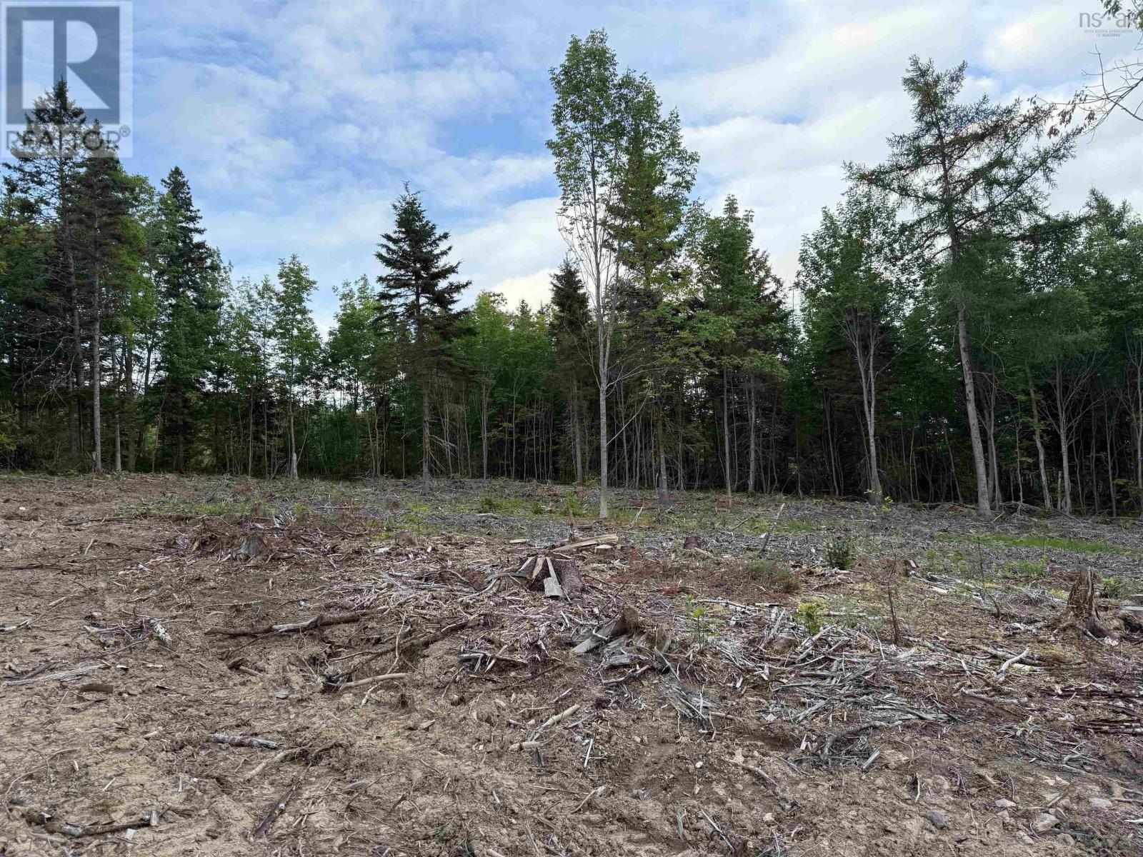 Lot 29 Mull River Road Property Photo 2