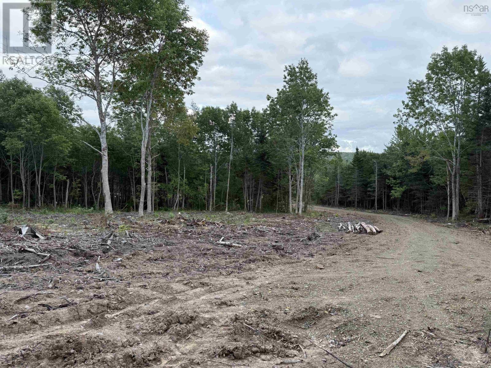 Lot 29 Mull River Road Property Photo 3