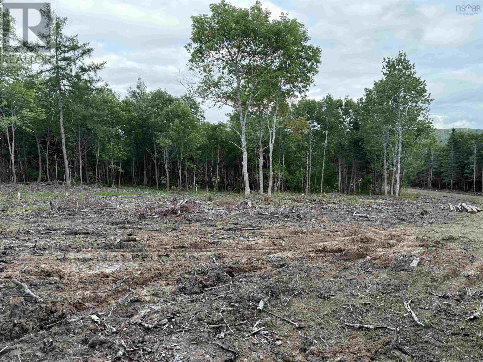 Lot 29 Mull River Road Property Photo 4