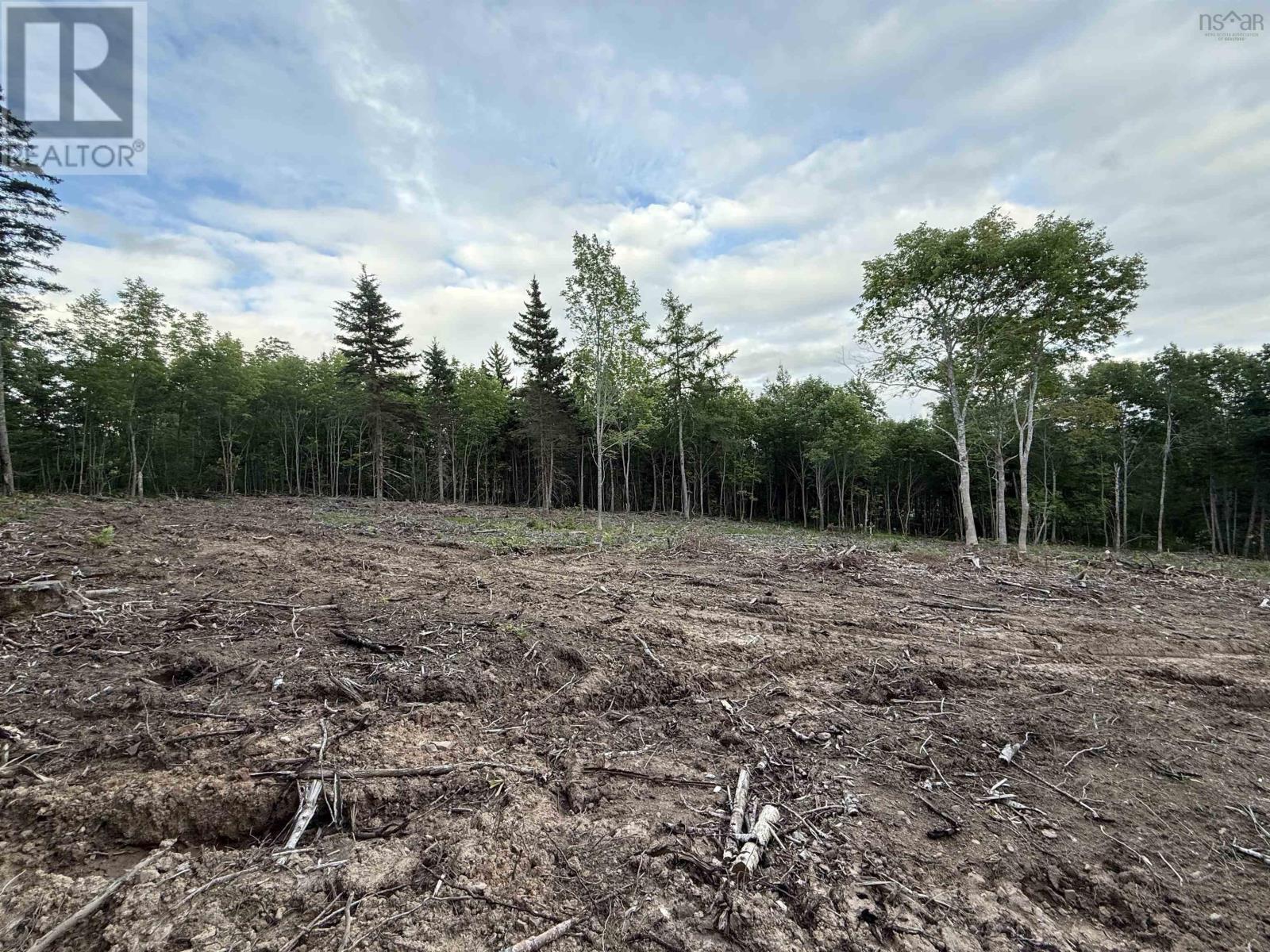 Lot 29 Mull River Road Property Photo 5