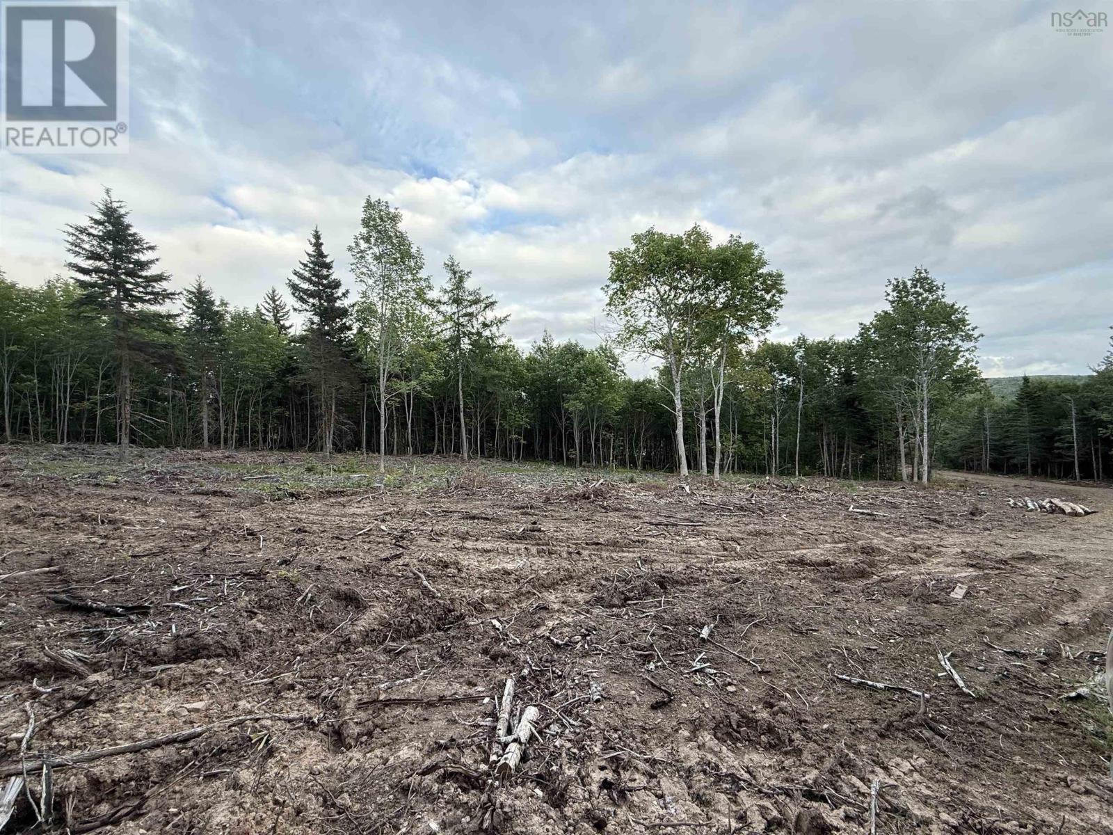 Lot 29 Mull River Road Property Photo 6