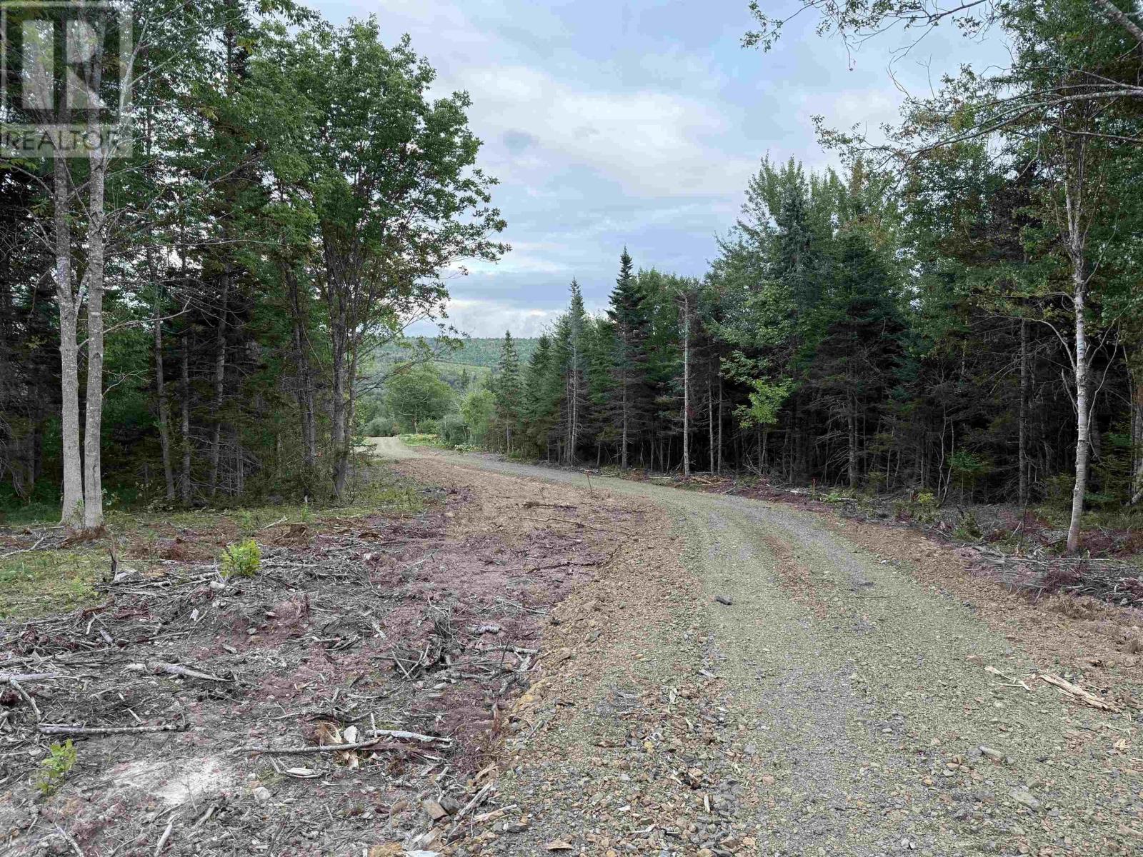 Lot 29 Mull River Road Property Photo 7