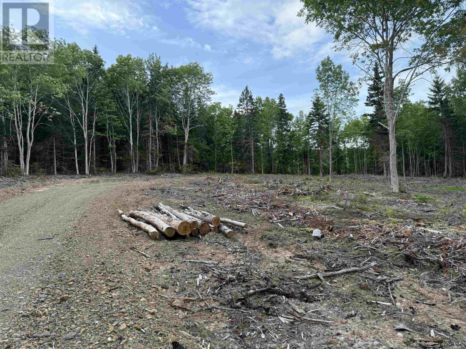 Lot 29 Mull River Road Property Photo 8