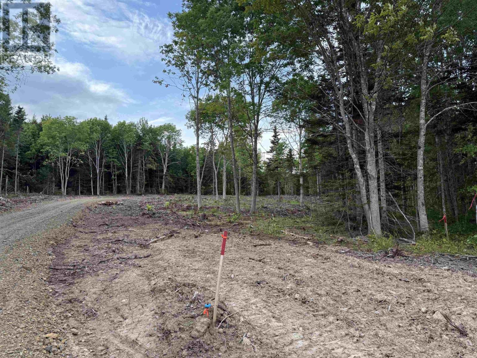 Lot 29 Mull River Road Property Photo 9
