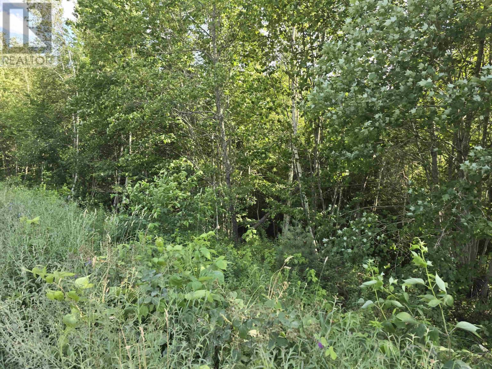 Lot 2 Highway 101 Property Photo 12