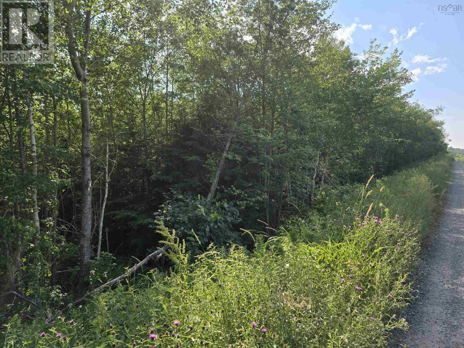 Lot 2 Highway 101 Property Photo 13