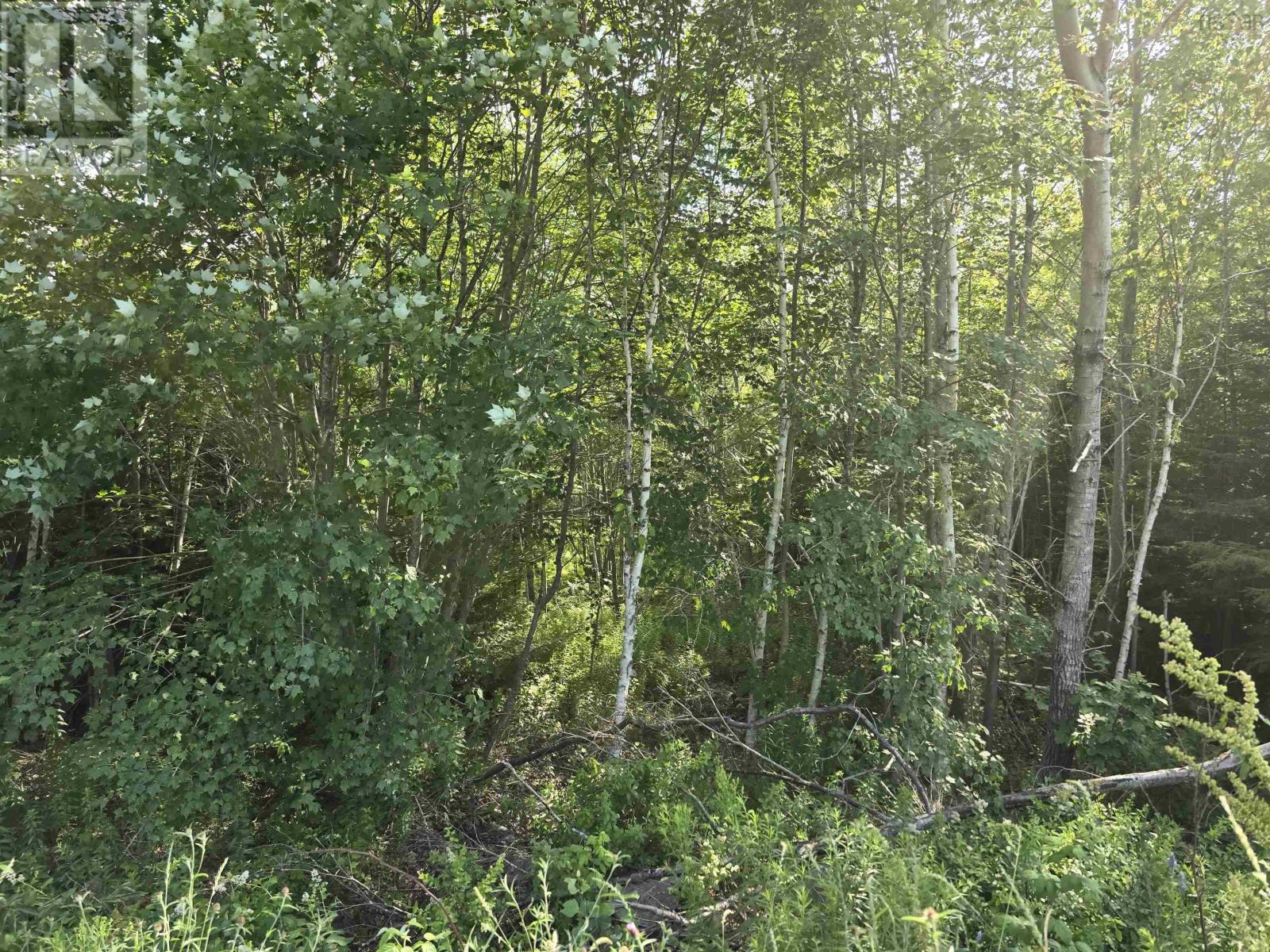 Lot 2 Highway 101 Property Photo 14