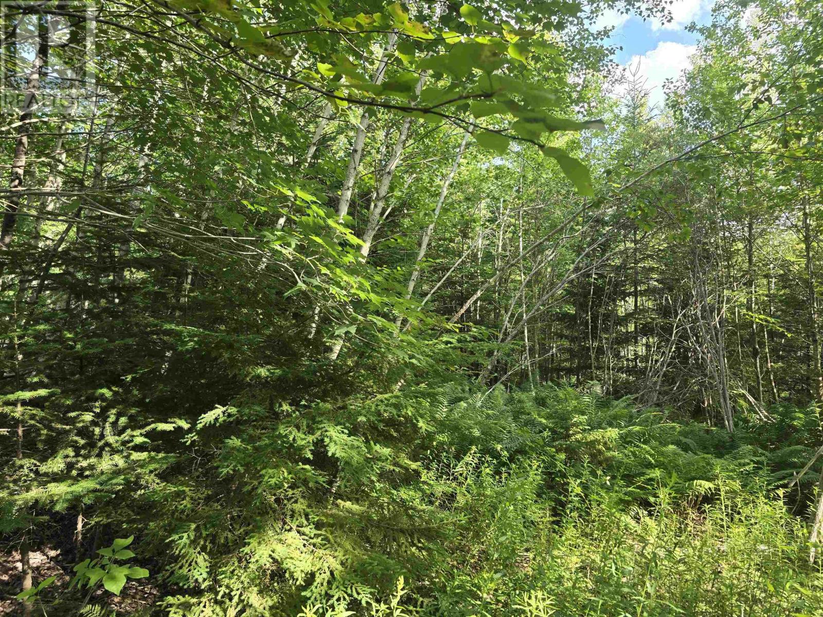 Lot 2 Highway 101 Property Photo 15