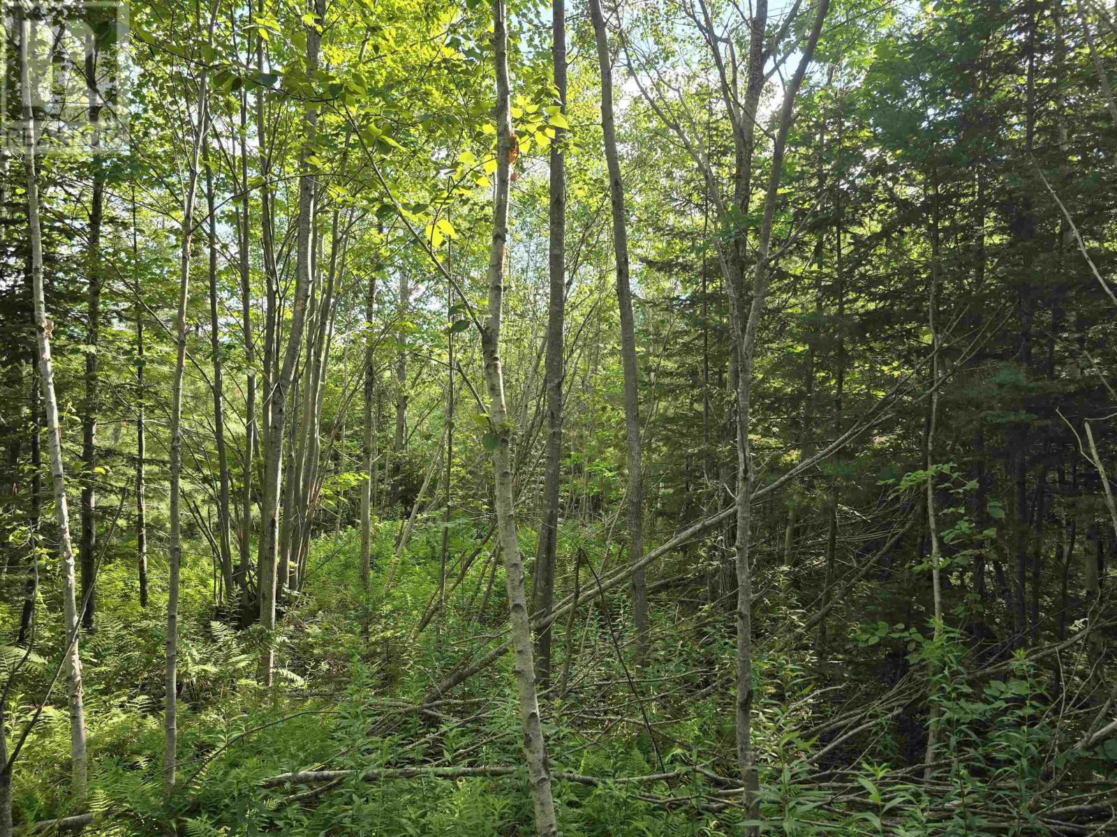 Lot 2 Highway 101 Property Photo 16
