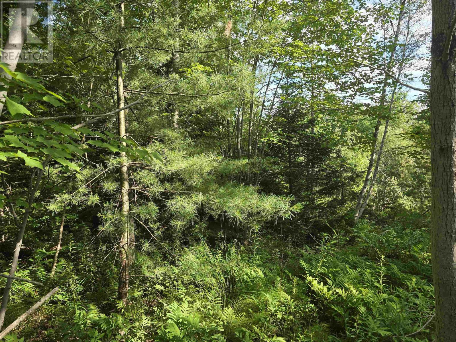 Lot 2 Highway 101 Property Photo 17