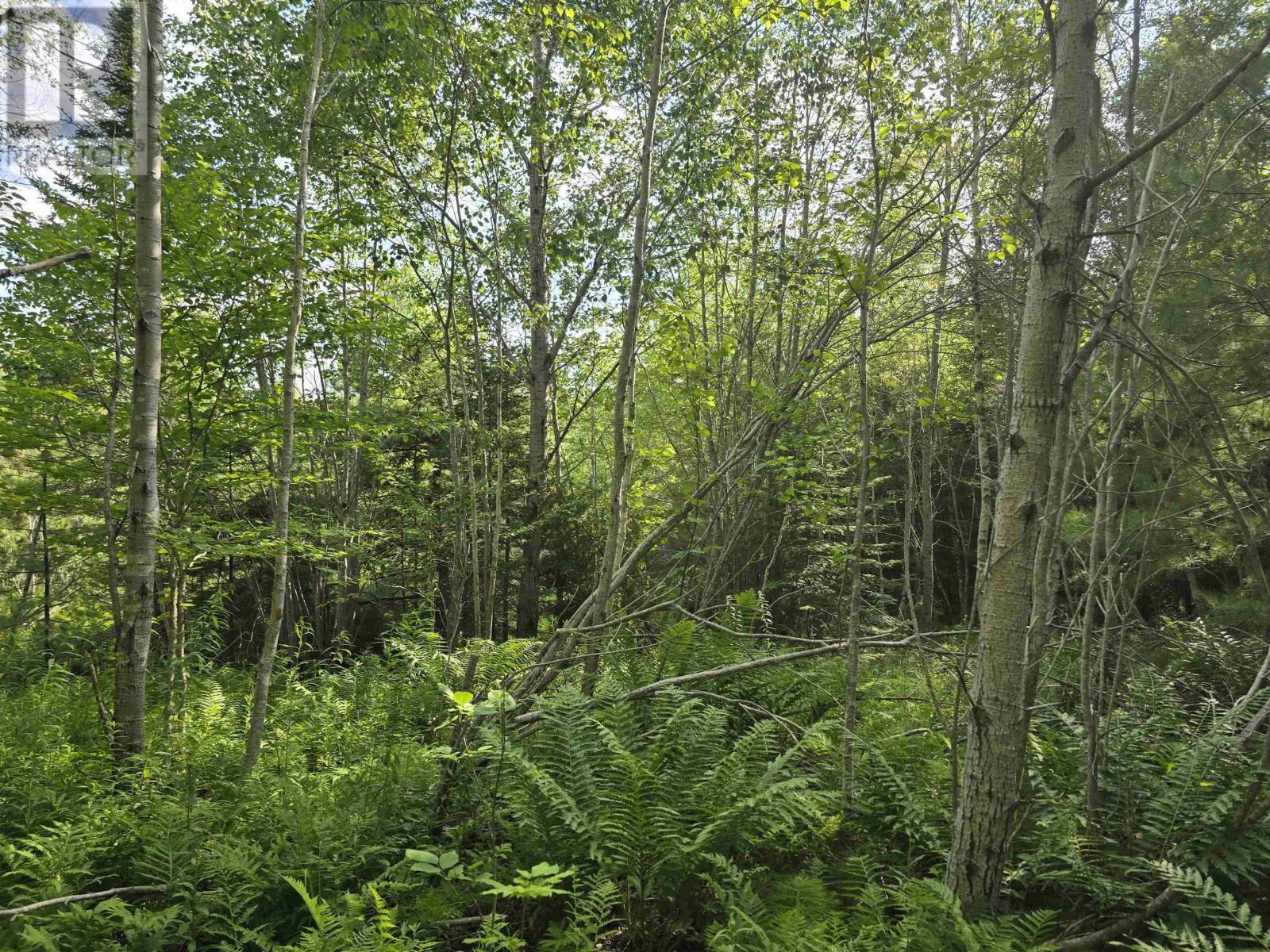 Lot 2 Highway 101 Property Photo 18