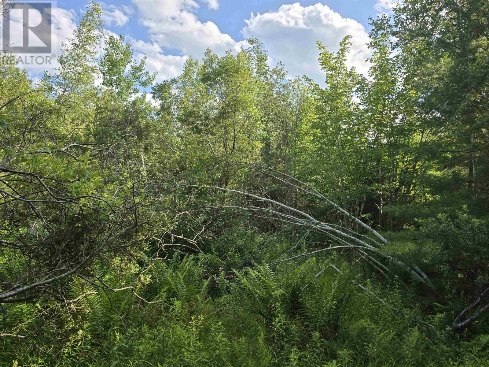 Lot 2 Highway 101 Property Photo 20