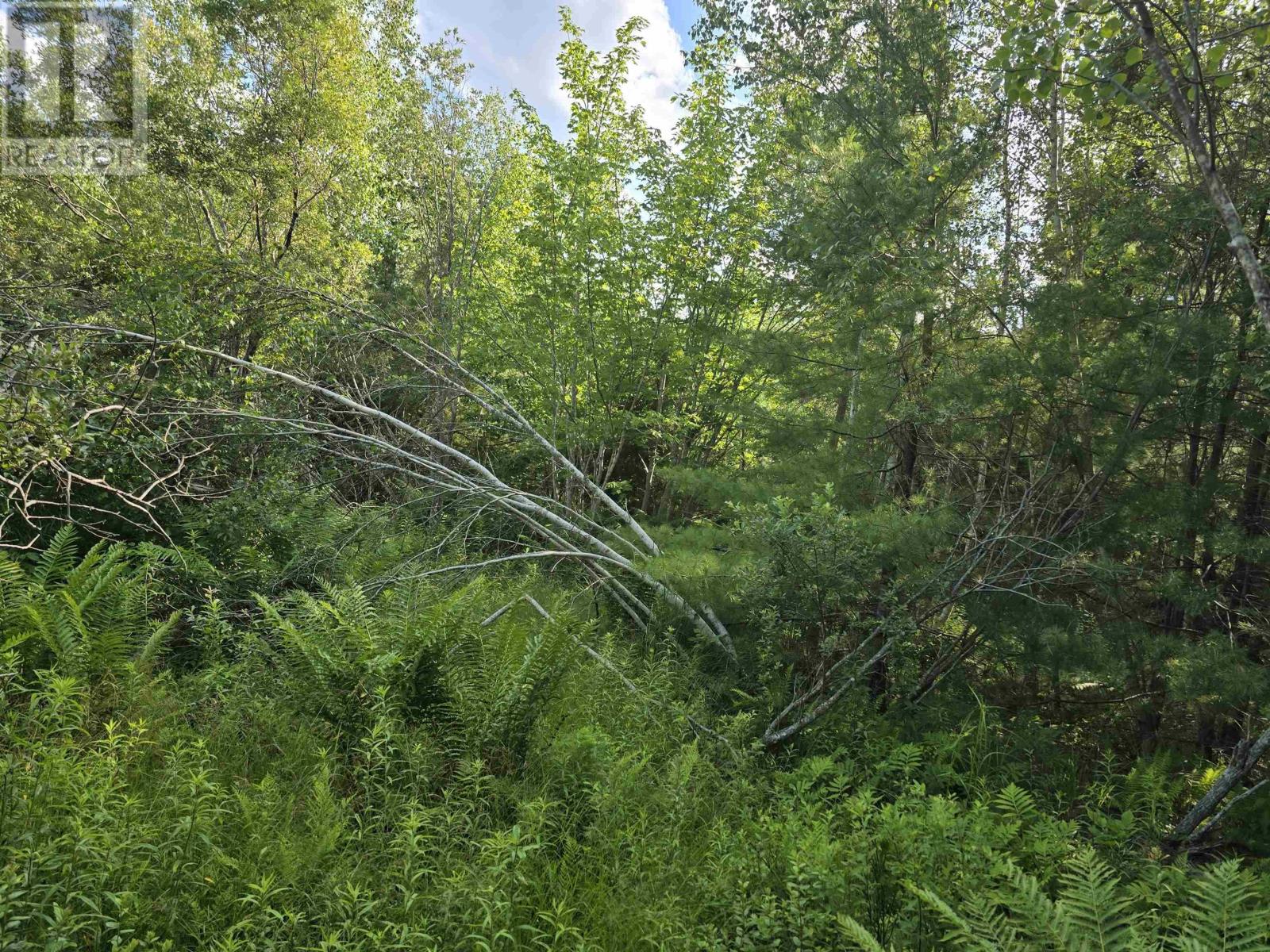 Lot 2 Highway 101 Property Photo 21