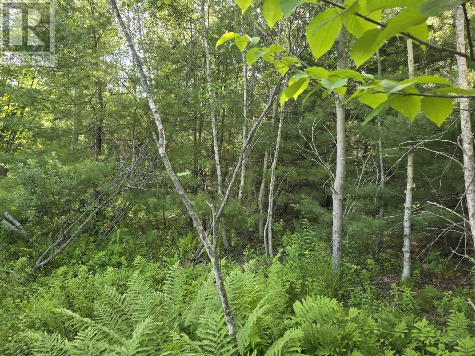 Lot 2 Highway 101 Property Photo 22