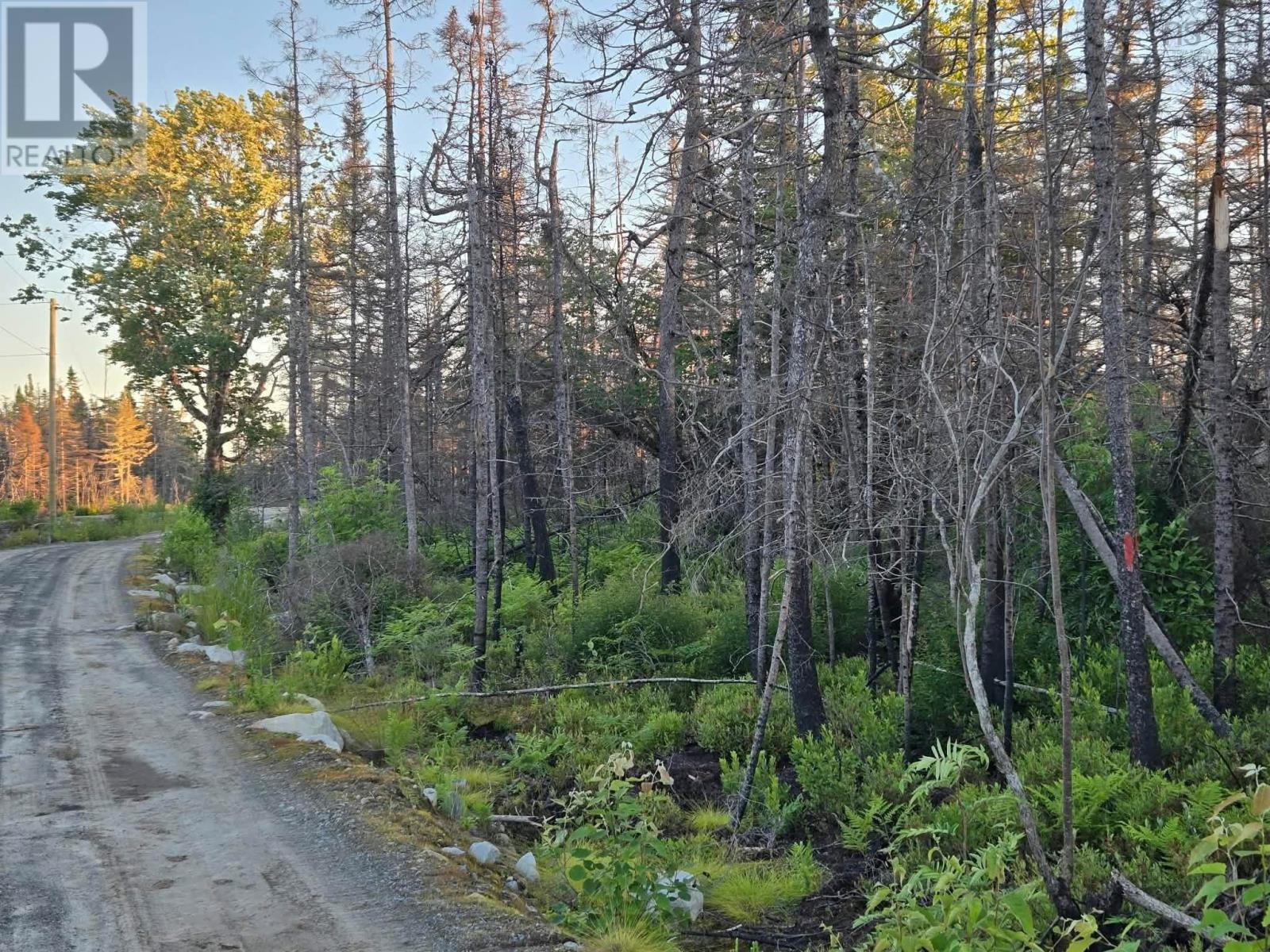 Lot M-3 2640 West Sable Road Property Photo 4