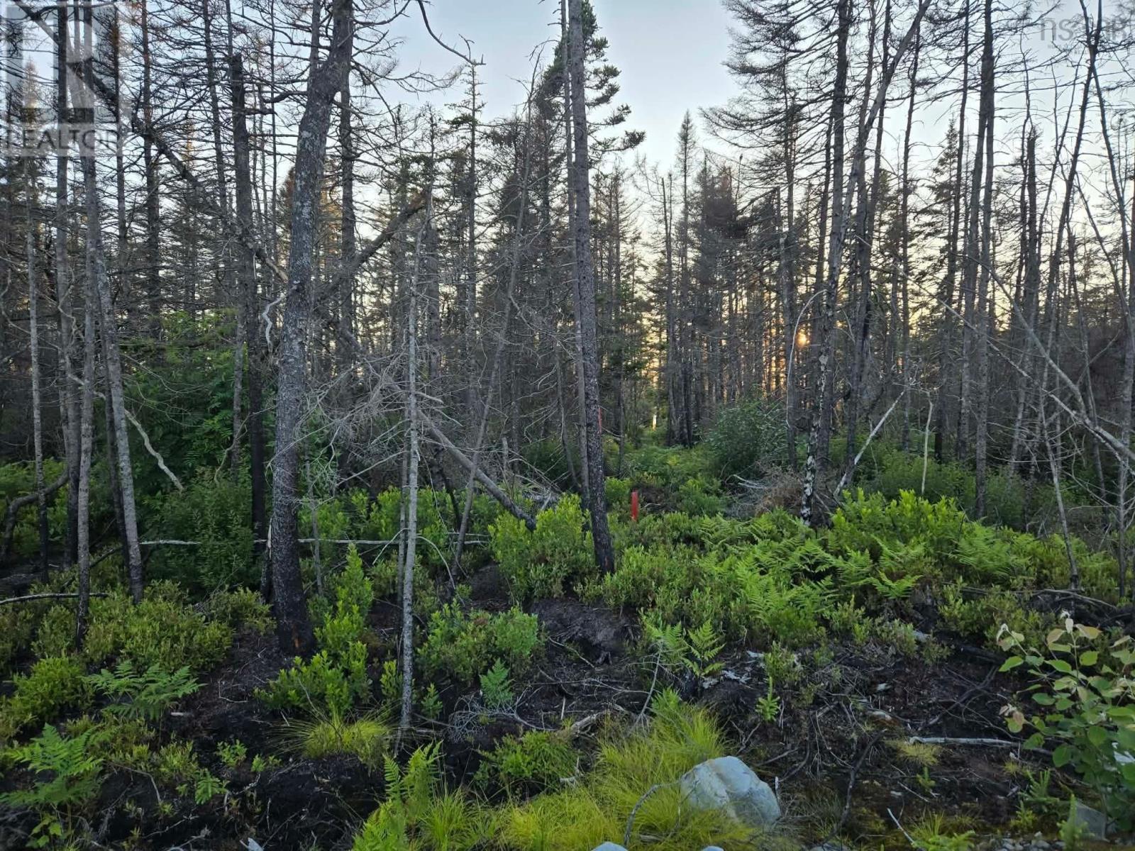 Lot M-3 2640 West Sable Road Property Photo 5