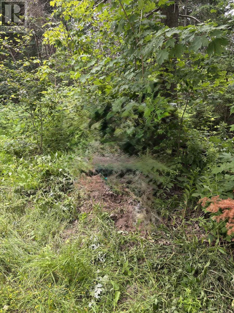 Lot Campbell Road Property Photo 1